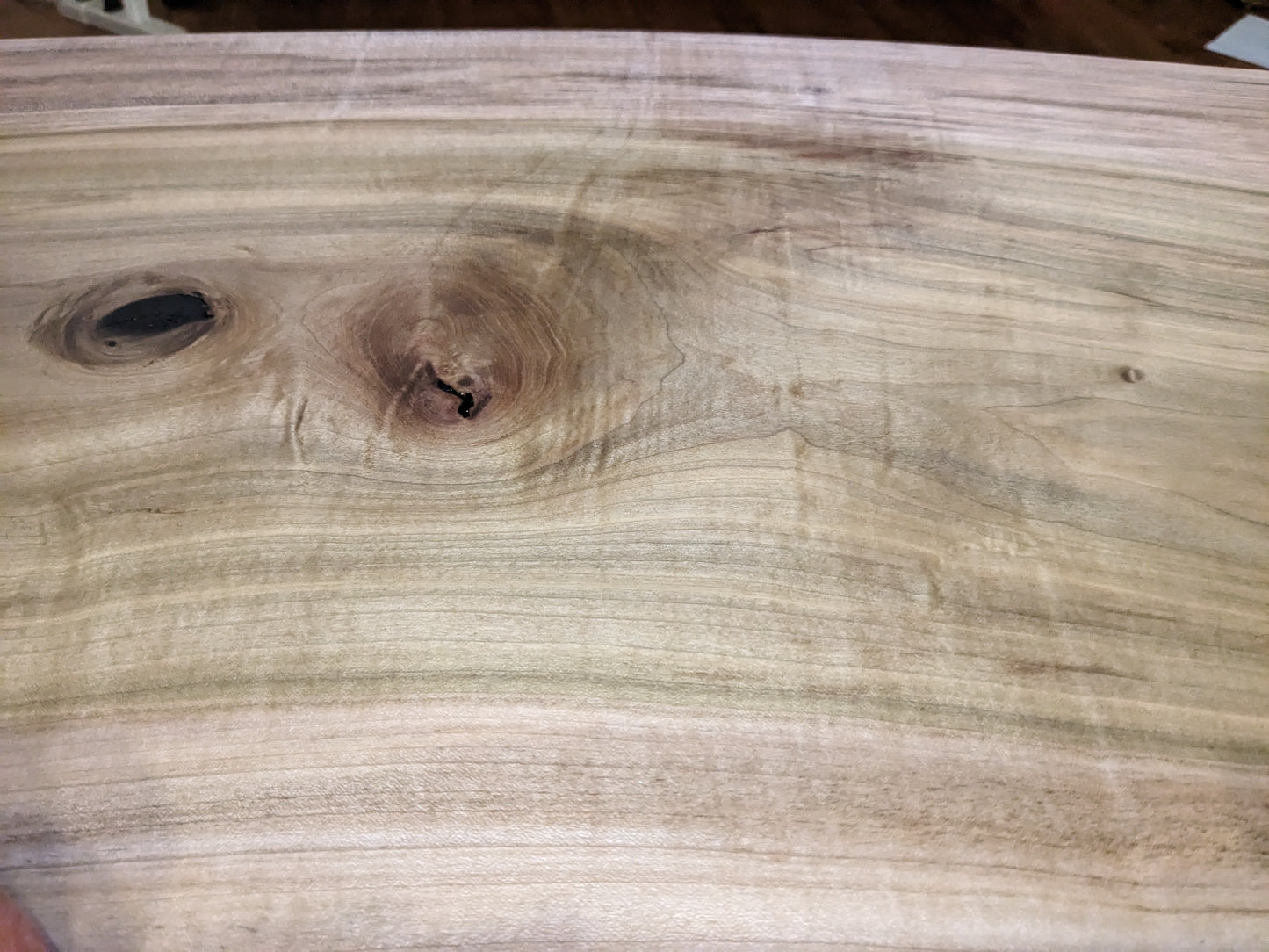 Live Edge Rainbow Poplar Coffee Table with Black Walnut Bow Ties