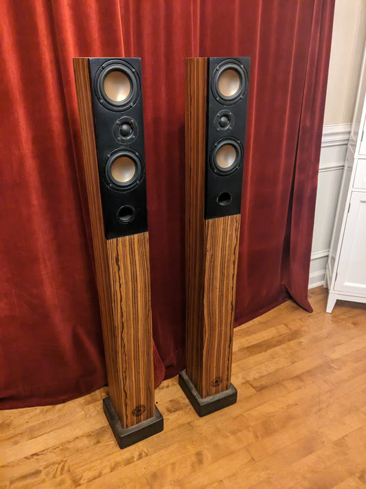 Audiophile Paired Towers Speakers